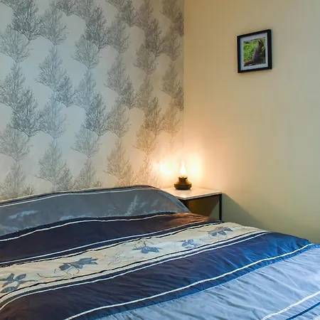 The Drey - Uk39556 Holiday home